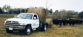 Bales on Balebed White Dodge